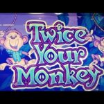 Twice Your Monkey Slot